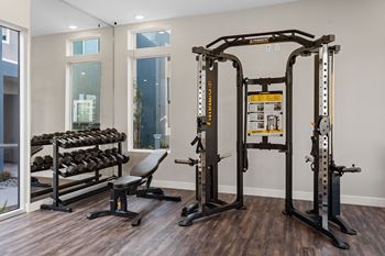 A gym with free weights and weight machines